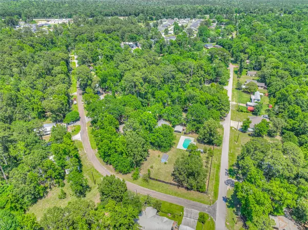 TBD Rose, Red Clover, Livingston, TX 77351
