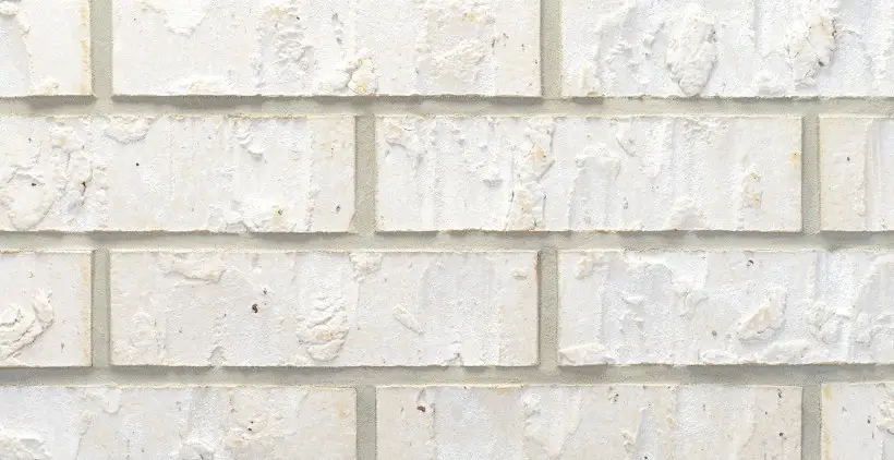 18607 Citrange Bend Way, Manvel, TX 77578 - #2