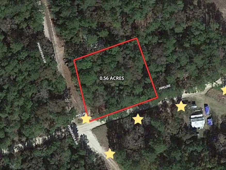 0 Little Ponderosa Drive, Onalaska, TX 77360 - #1