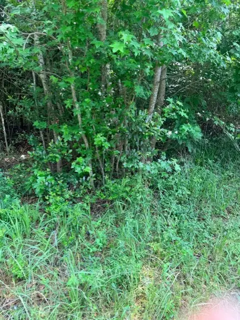 14388 Baxter Road, Conroe, TX 77306