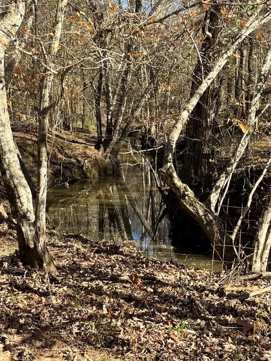 87 Acres State Highway 135, Jacksonville, TX 75766 - #2