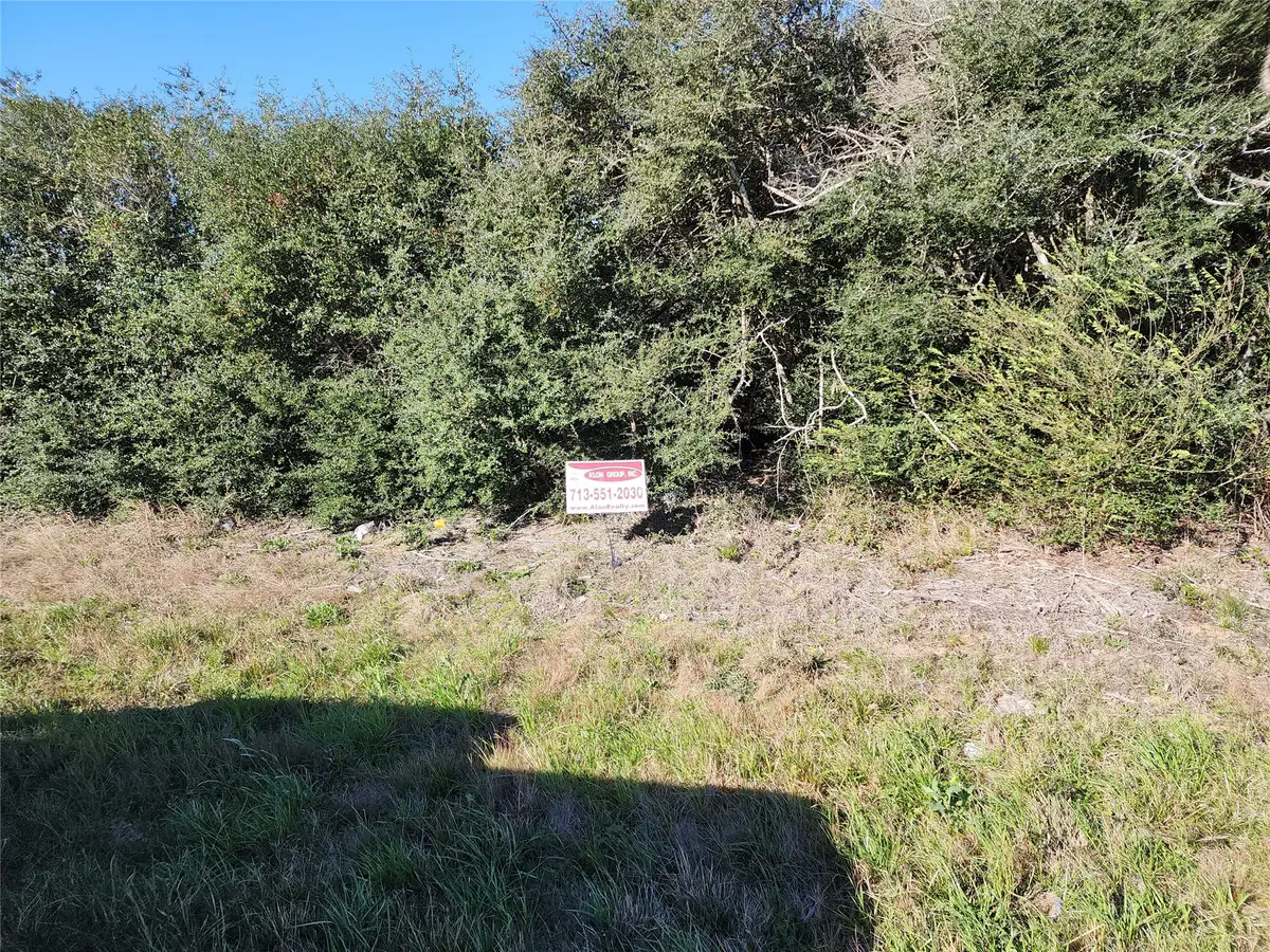 0 Cochran, Waller, TX 77484 - #1