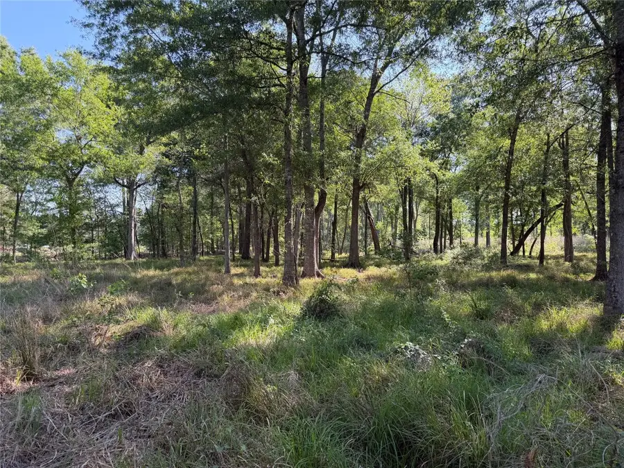 00 County Road 2195, Cleveland, TX 77327 - #2