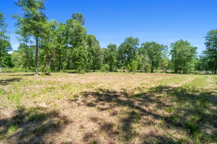 00 County Road 2195, Cleveland, TX 77327 - #3