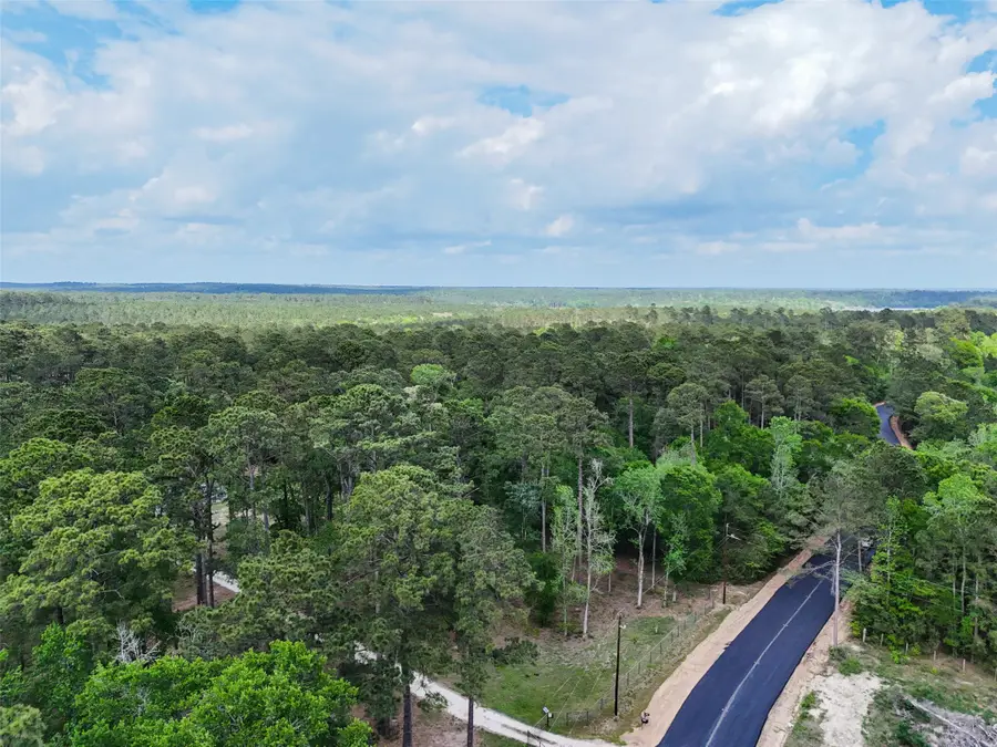 19300 Mount Pleasant Road, Montgomery, TX 77356 - #3