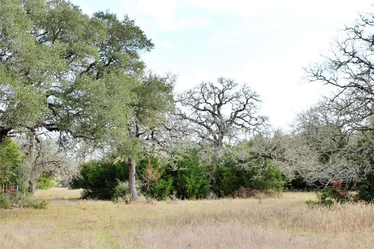 TBD Parcel 10 Lobo Lane, Columbus, TX 78934 - #1