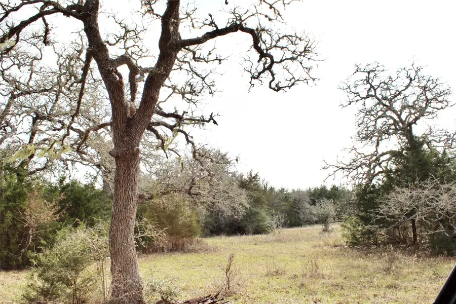 TBD Parcel 10 Lobo Lane, Columbus, TX 78934 - #2