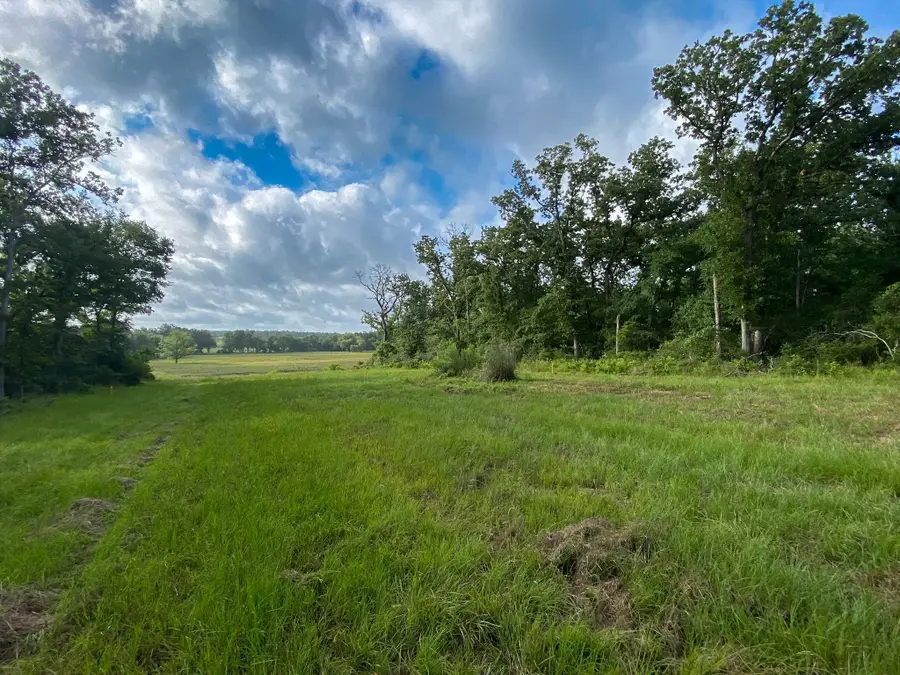 Tract 7 & 8 County Road 426, Marquez, TX 77865 - Image #3