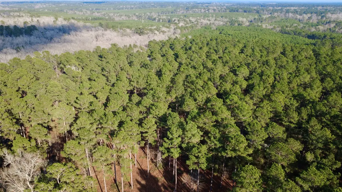 1497 County Road 1170, Kennard, TX 75847 - #1