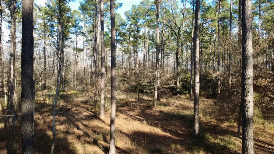 1497 County Road 1170, Kennard, TX 75847 - #2