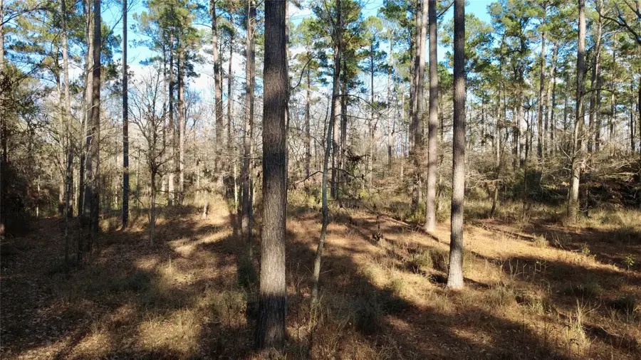 1497 County Road 1170, Kennard, TX 75847 - #3