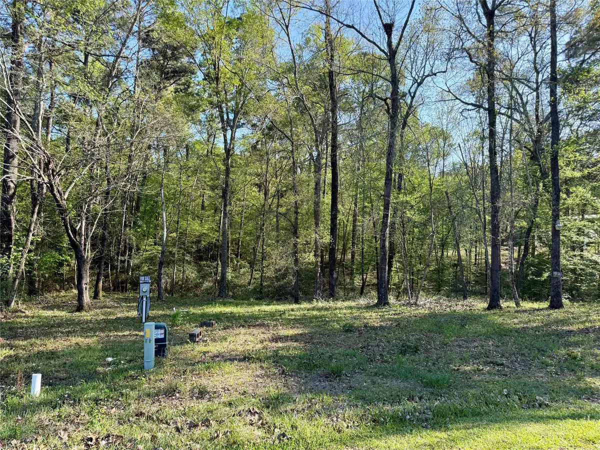 TBD Leaning Oak Drive, Point Blank, TX 77364 - #1