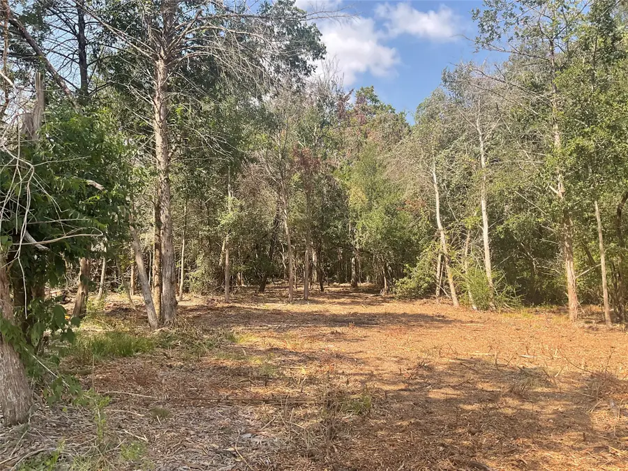 2805 Deer Road, Brenham, TX 77833 - #2