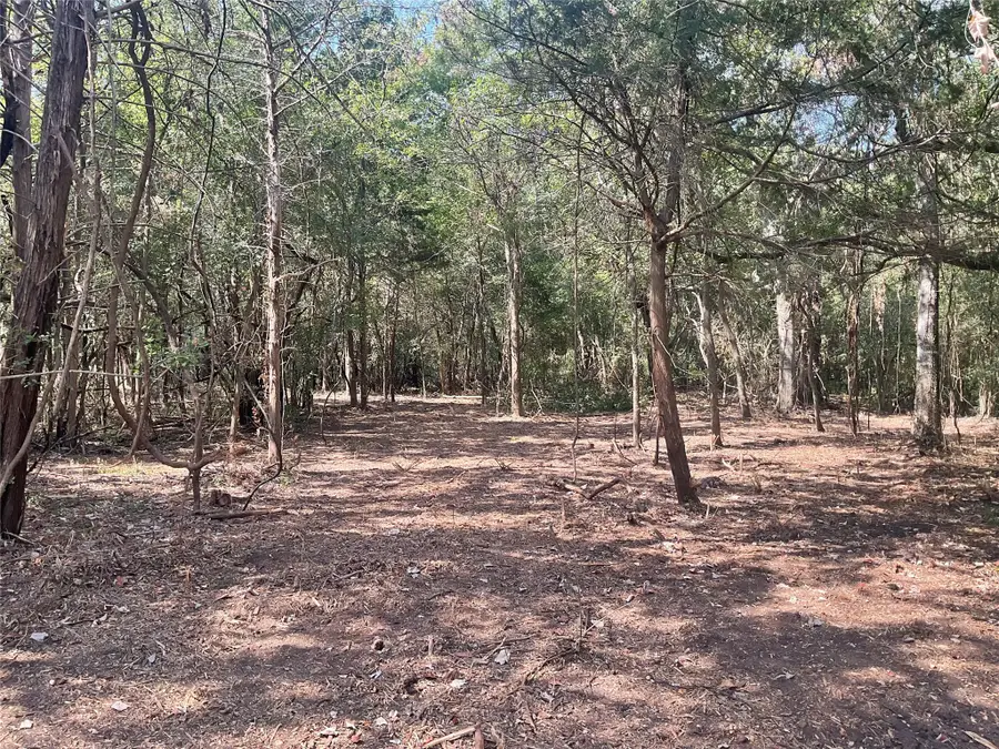 2805 Deer Road, Brenham, TX 77833 - #3