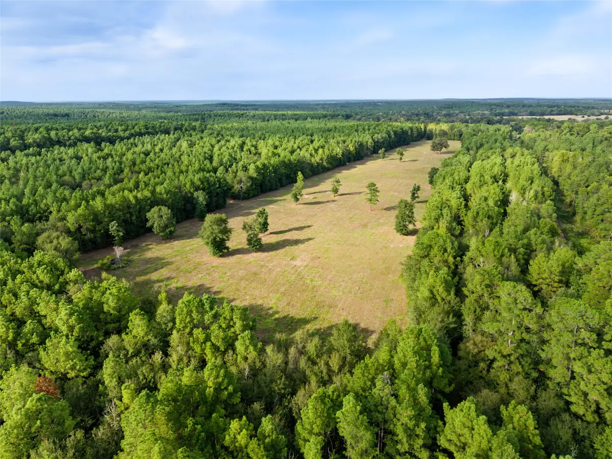 00 Fm 980, Huntsville, TX 77320 - #1
