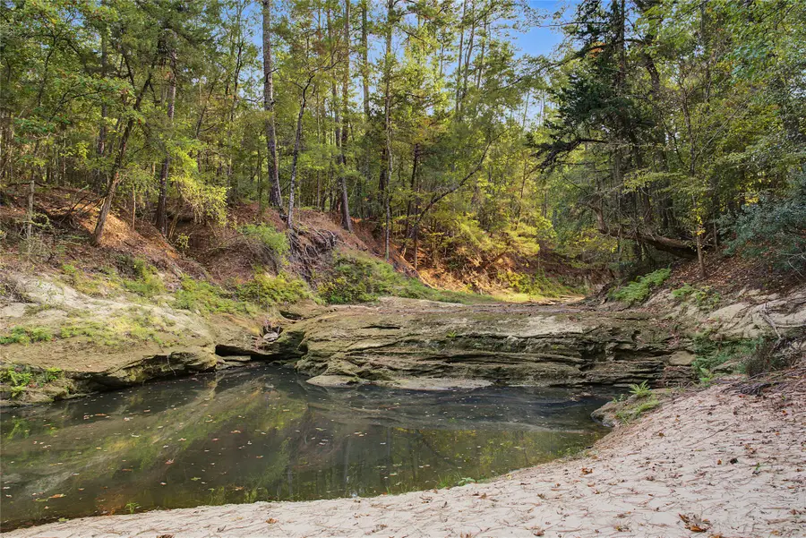 00 Fm 980, Huntsville, TX 77320 - #3