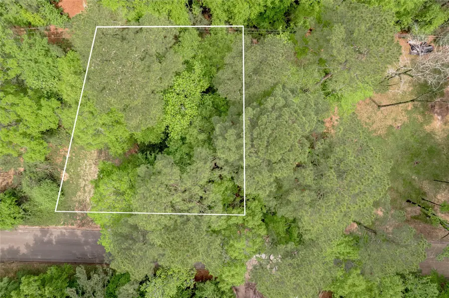 277 Broadmoor Drive, Huntsville, TX 77340 - #2