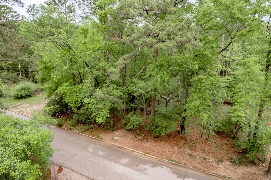 277 Broadmoor Drive, Huntsville, TX 77340 - #3