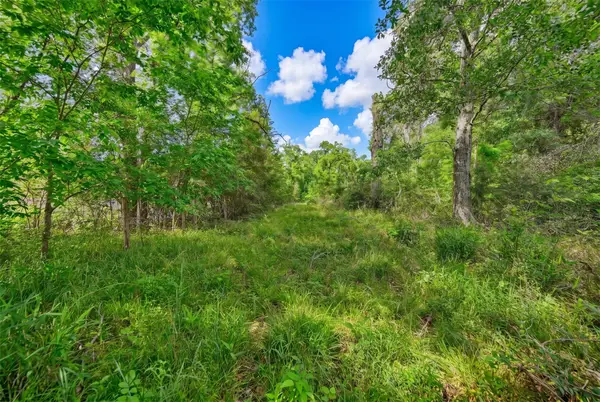 4321 Gaskamp Road, Washington, TX 77880