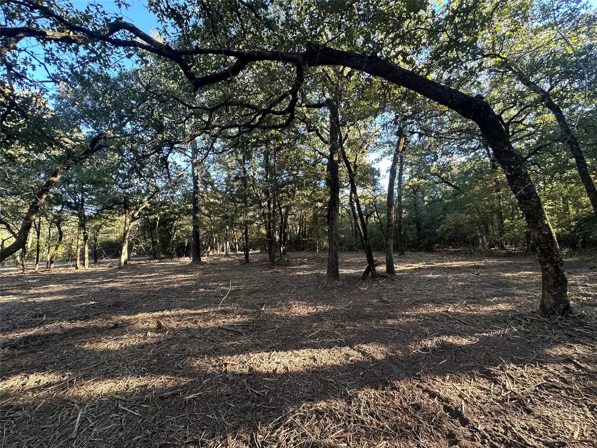 TR 2 Cr 219, Buffalo, TX 75831 - Image #1