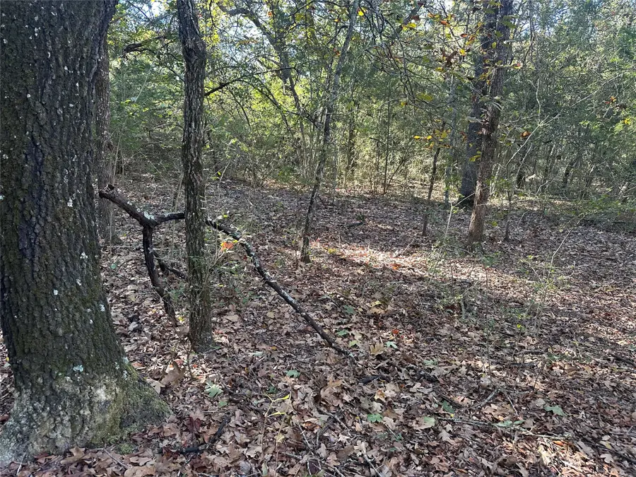 TR 2 Cr 219, Buffalo, TX 75831 - Image #3