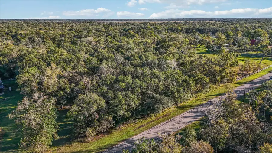 6051 Loyce Lane, Damon, TX 77430 - Image #2