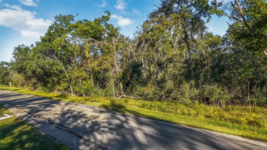 6051 Loyce Lane, Damon, TX 77430 - Image #3