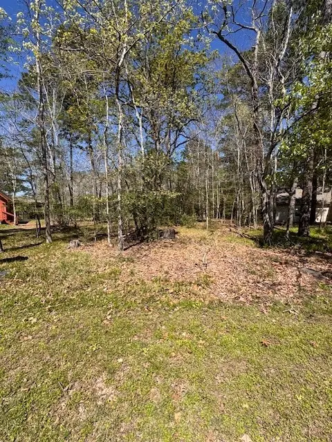 11 Cherry Hills Drive, Coldspring, TX 77331 - #1