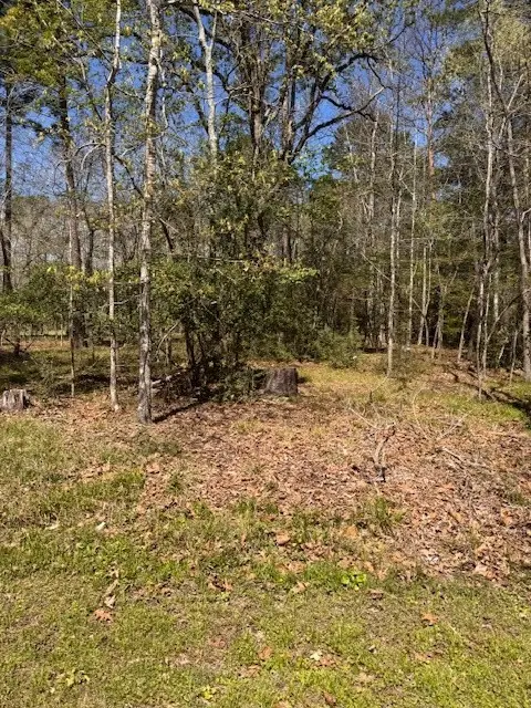 11 Cherry Hills Drive, Coldspring, TX 77331 - #2