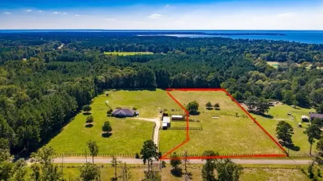 000 Alabama Point, Livingston Onalaska, TX 77352 - #1