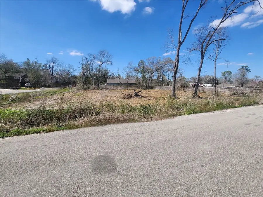 10105 Haddick Street, Houston, TX 77078 - #3