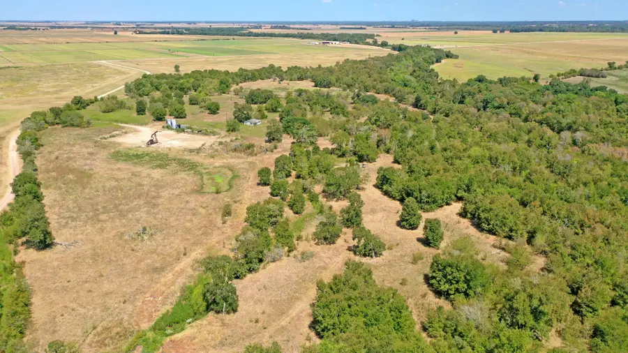 TBD County Road 443, Snook, TX 77878 - #3