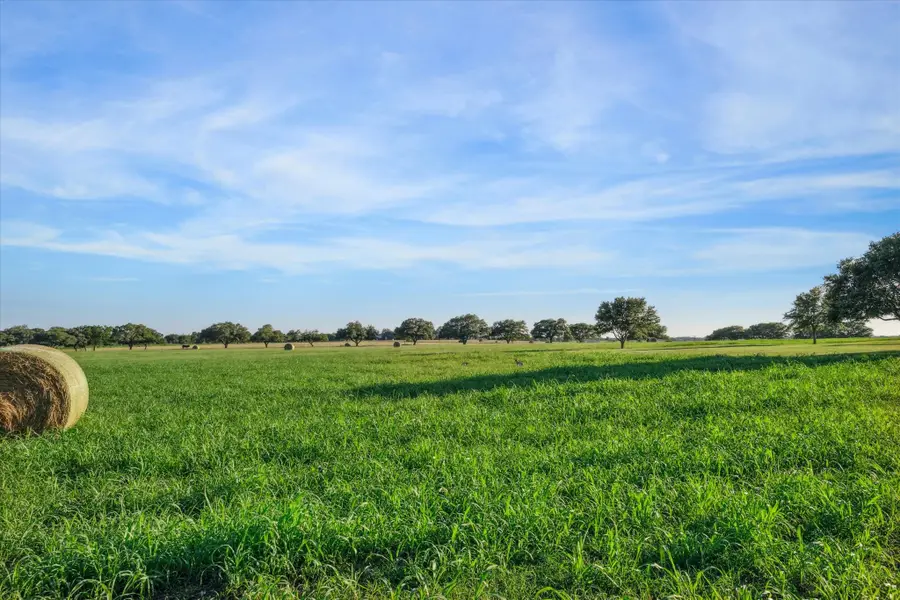 2817 Leonhardt, Round Top, TX 78954 - #3