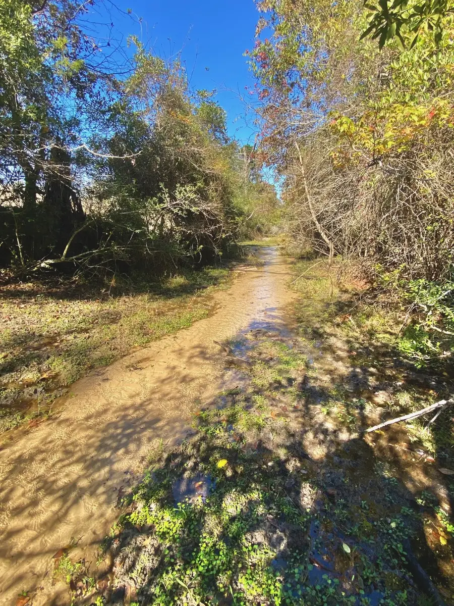 485 Private Road 6142, Grapeland, TX 75844 - Image #2