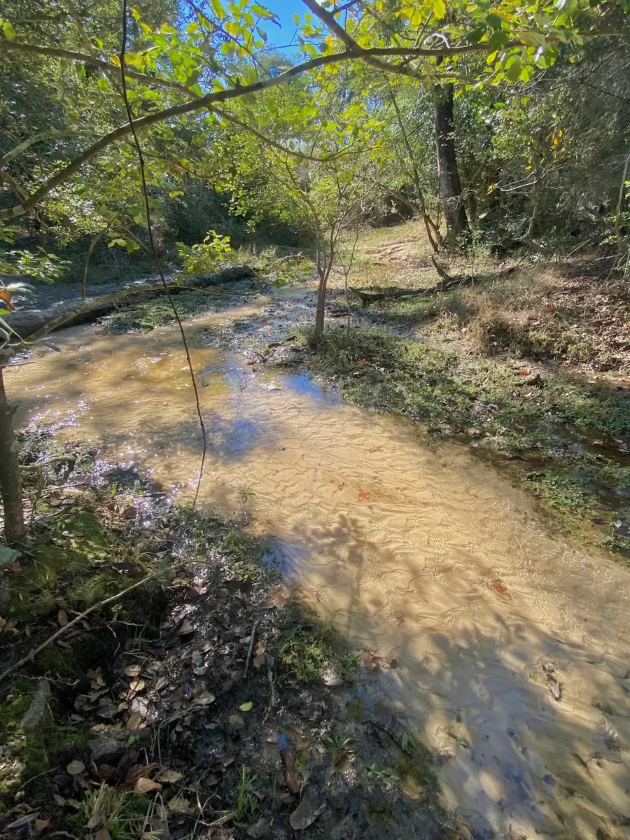 485 Private Road 6142, Grapeland, TX 75844 - Image #3