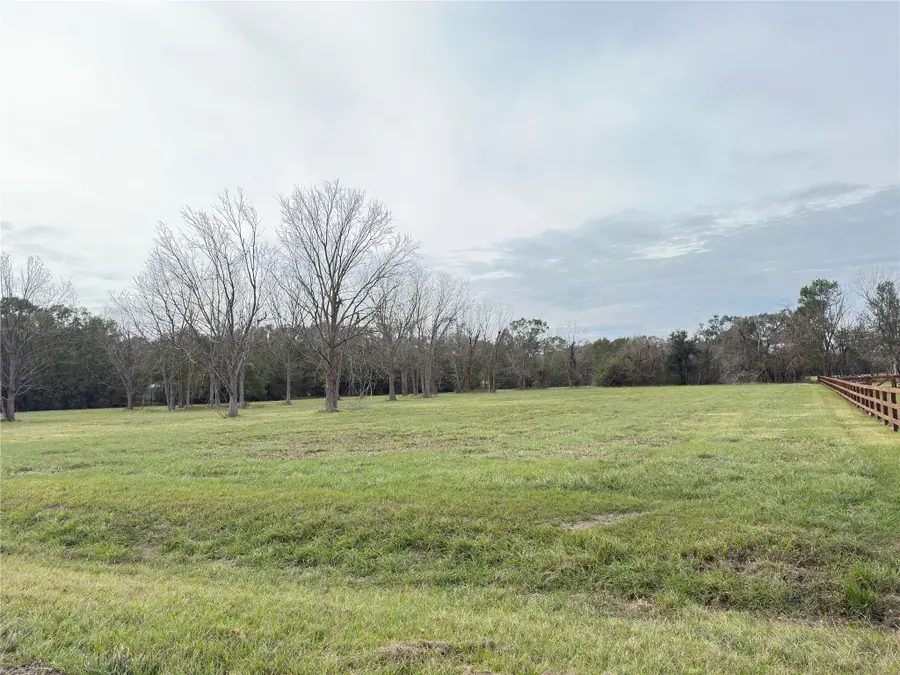 16834 Wrangler Road, Rosharon, TX 77583 - #3