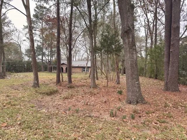 2022 Pecan Street, Katy, TX 77494 - Image #3