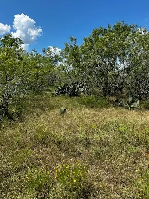 Lot 2 County Road 420, Waelder, TX 78959 - Image #1