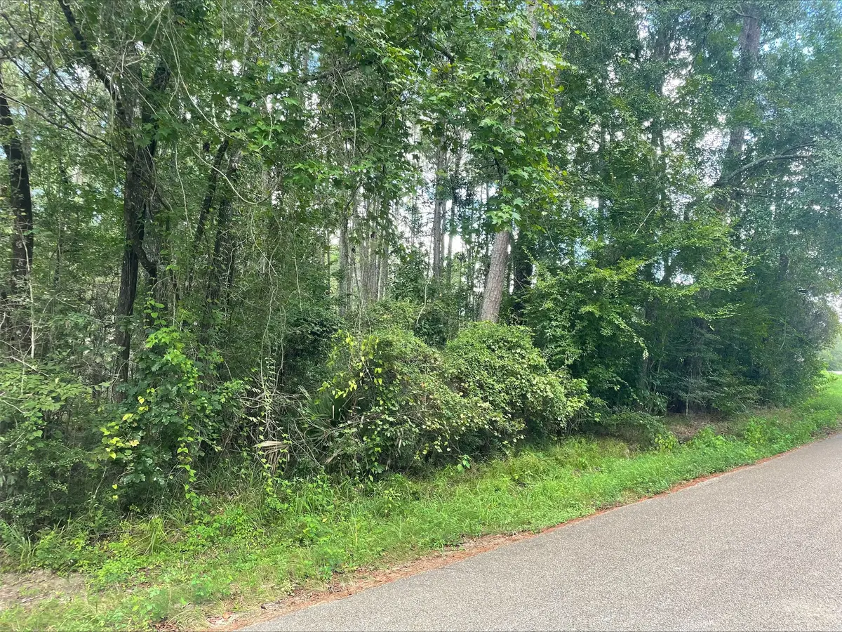 TBD0.57AC Magnolia Bend Dr, Conroe, TX 77302 - #1