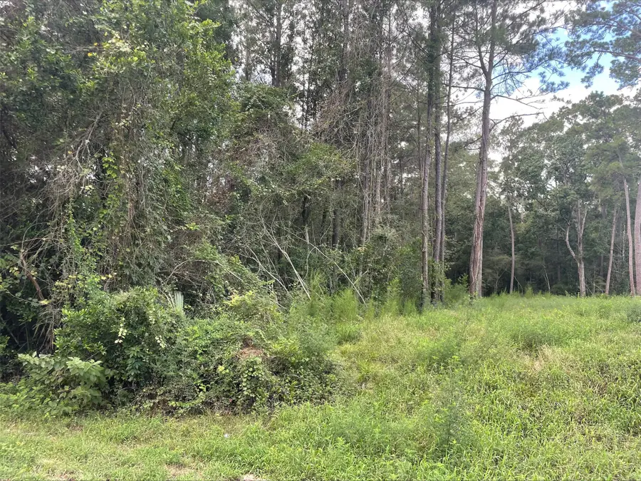 TBD0.57AC Magnolia Bend Dr, Conroe, TX 77302 - #2