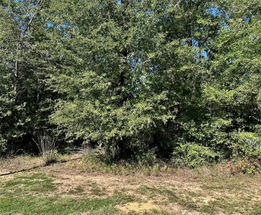 TBD Parkpine, Livingston, TX 77351 - #2
