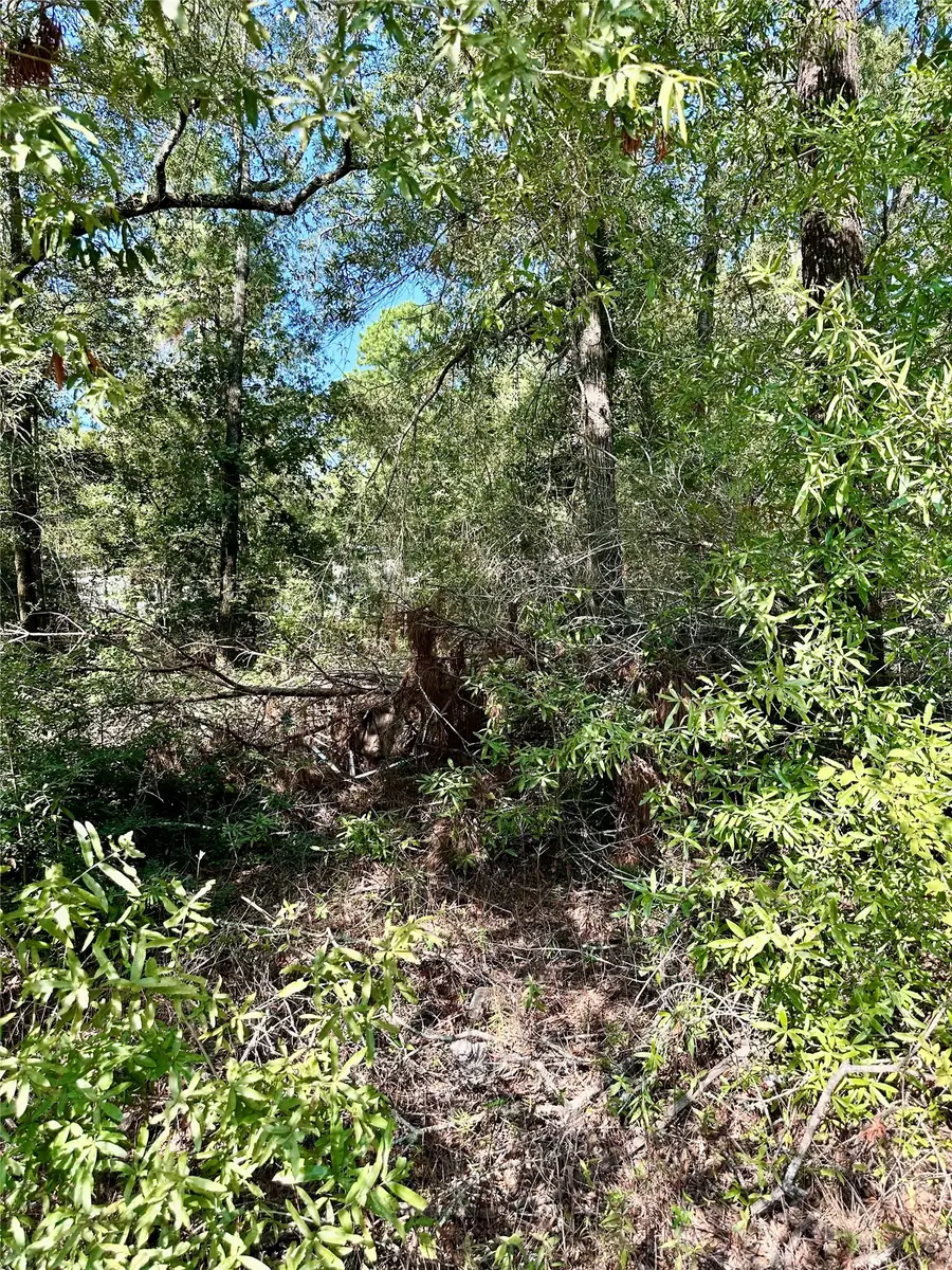 TBD Parkpine, Livingston, TX 77351 - #3