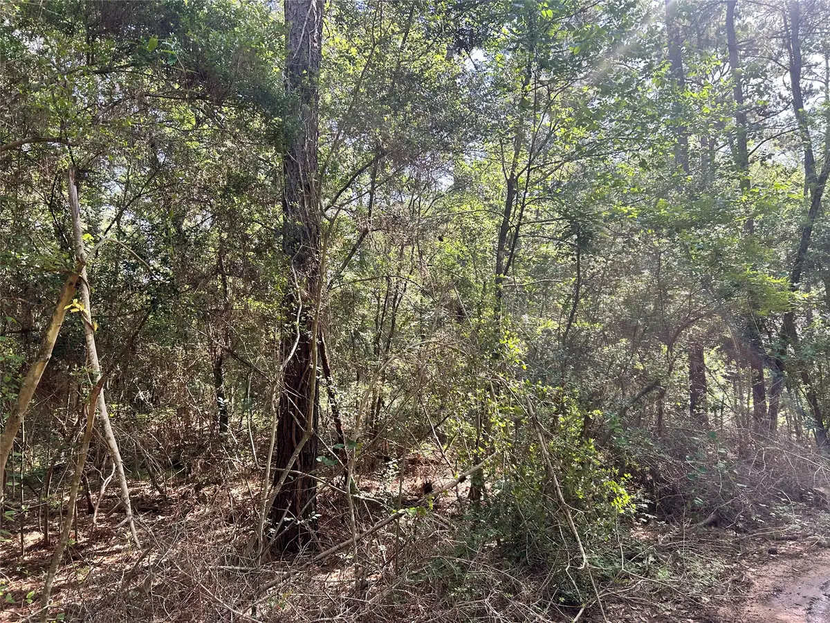 Lot 28 Sycamore Lane, Plantersville, TX 77363 - #1