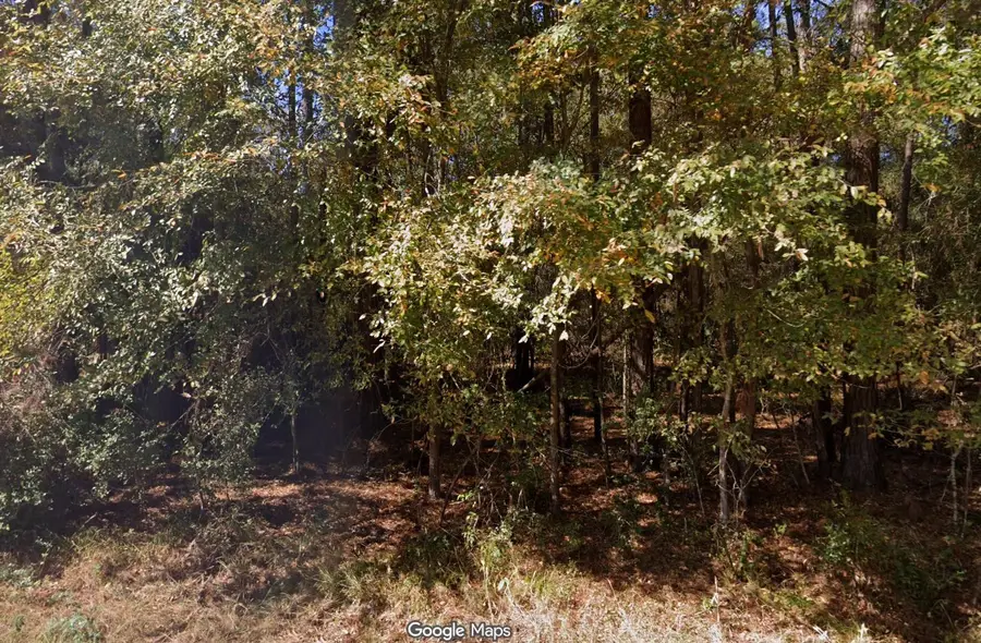 0 Anglers Drive, Trinity, TX 75862 - #2