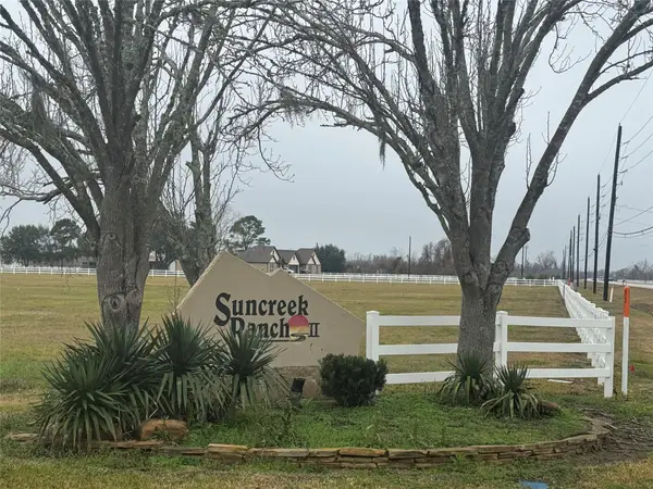 17218 Lucky Horse Drive, Rosharon, TX 77583