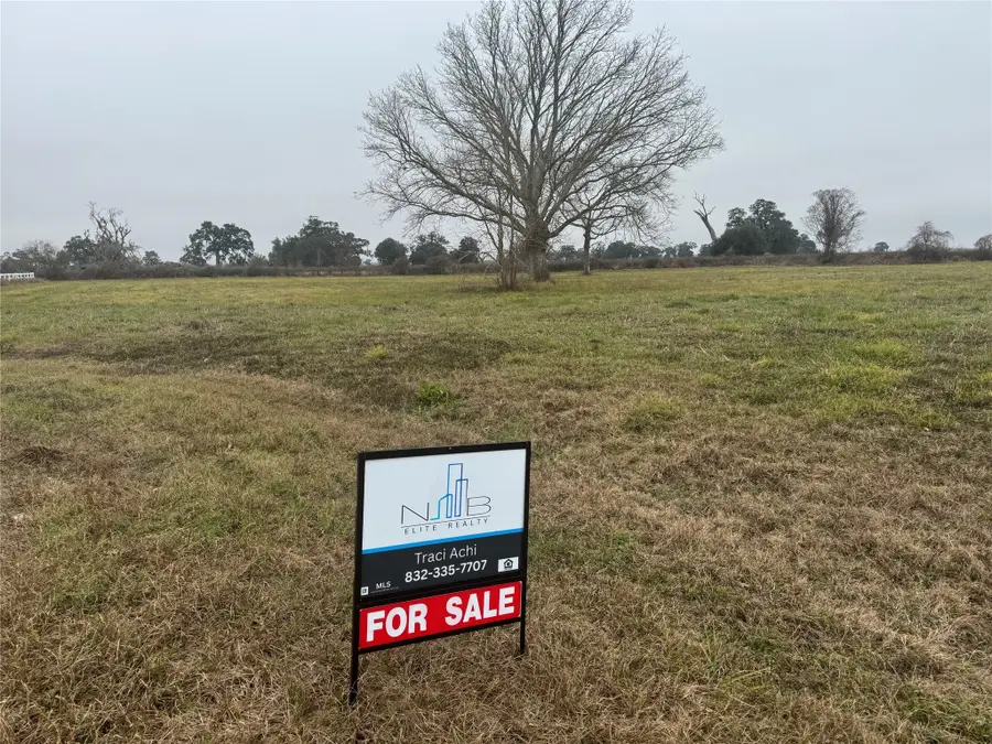 17218 Lucky Horse Drive, Rosharon, TX 77583 - #3