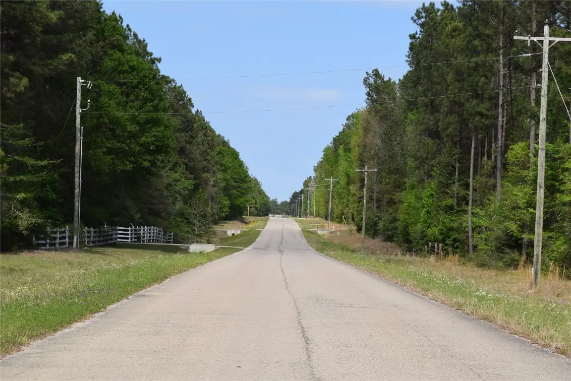 21056 Hereford Way, Cleveland, TX 77328 - #1