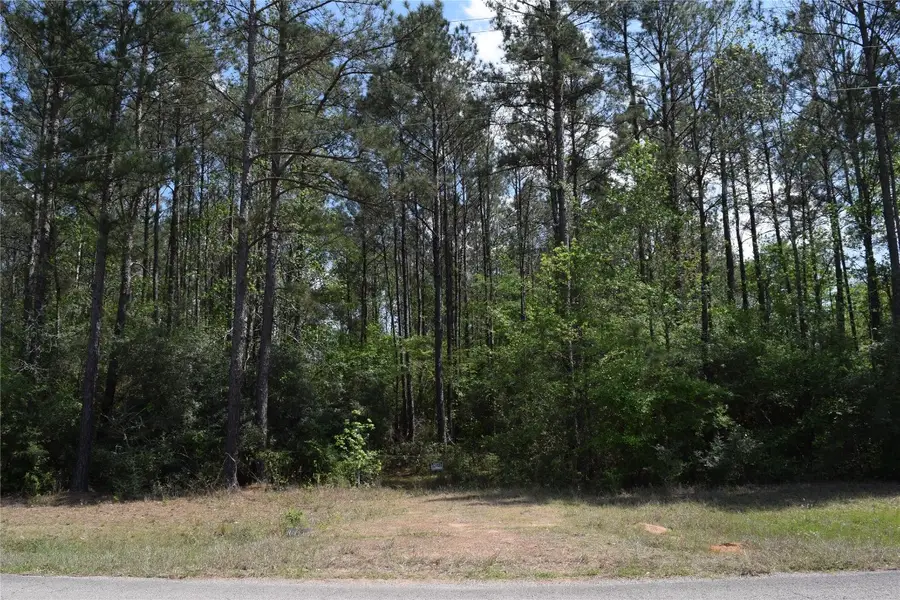 21056 Hereford Way, Cleveland, TX 77328 - #2