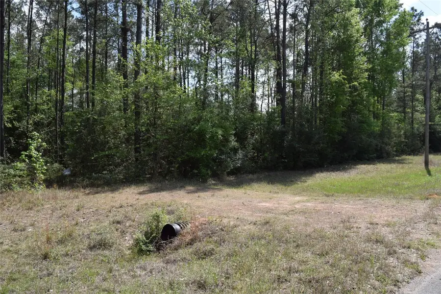 21056 Hereford Way, Cleveland, TX 77328 - #3