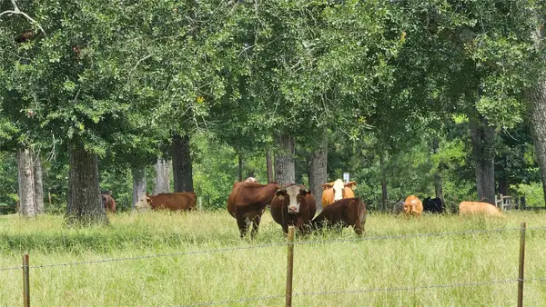 100 E Hill Ranch Lane, New Waverly, TX 77358